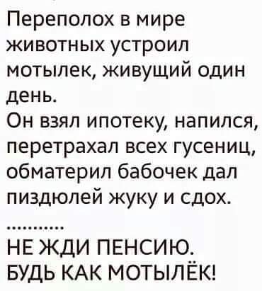 Всяческие картинки 29.06.2021