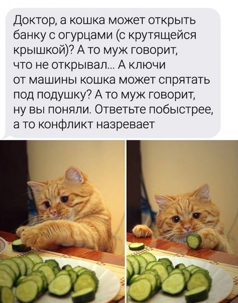 Картинки и мемы для настроения 18.08.2021