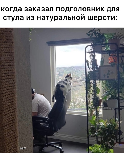 Весёлый полтишок 26.09