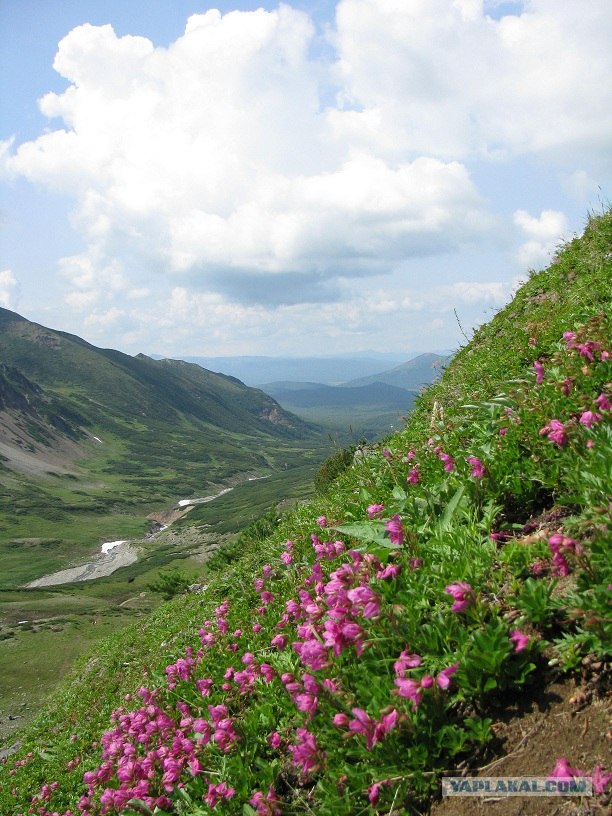 Камчатские красоты