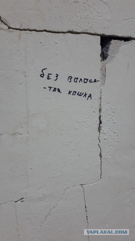 Среда пришла(снова) - неделя прошла, дорогие деграданты
