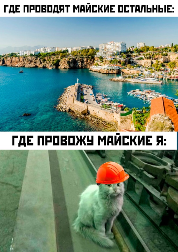 Картинки и мемы, выходные продолжаются