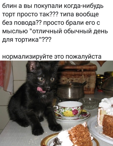 Картинки и мемы из Сети 24.07.22