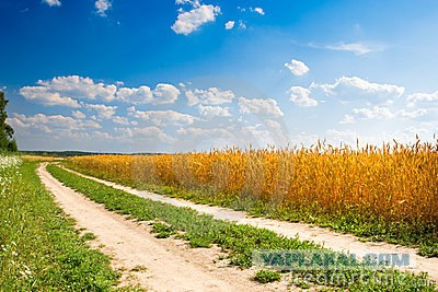 Живописнейшие дороги мира