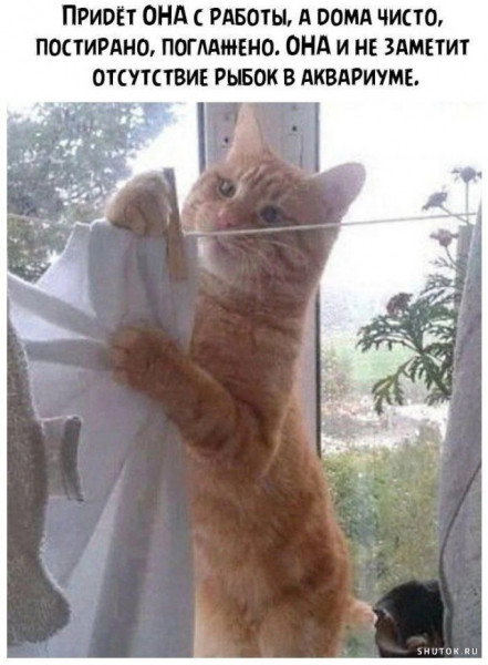 Юмор в картинках и без