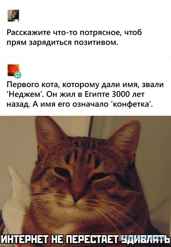 Картинки и мемы. Выходные близко, близко...