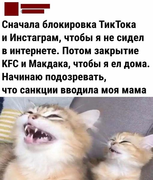 Картинки и мемы, всем хороших выходных