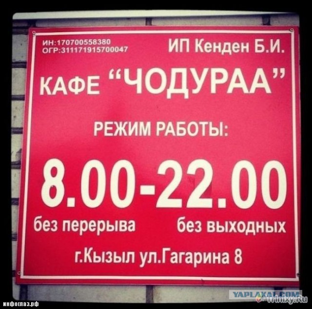 Перлы - 24.12.22