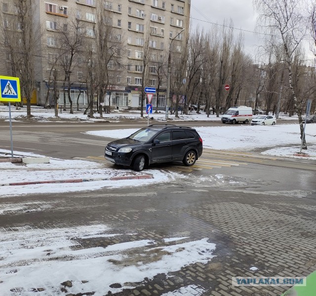В Воронеже определяются с местом установки памятника Юрию Хою