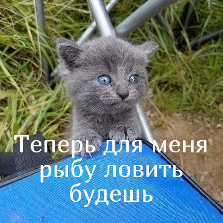"Уехал на рыбалку, вместо рыб вернулся с этим"