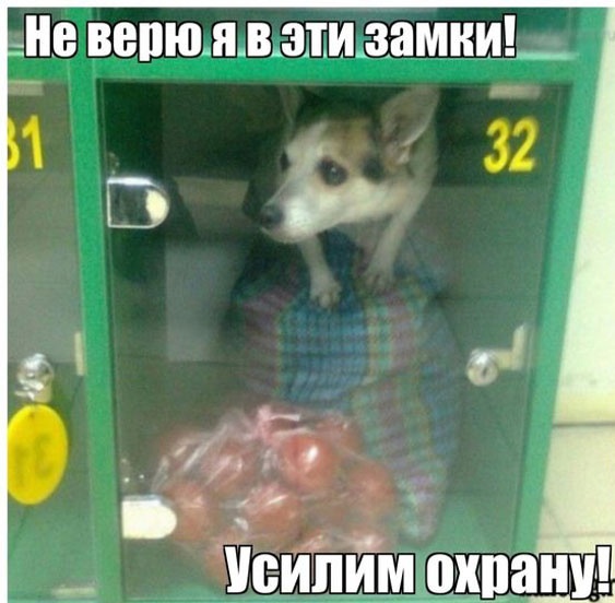 Так себе картинки 14.05.23