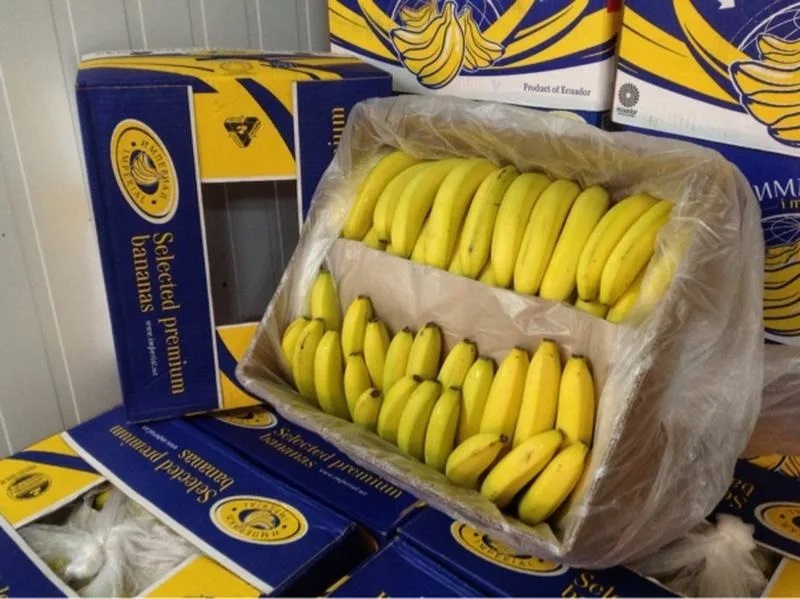 Сколько лежат бананы. Коробка бананов. Коробки с бананами. Бананы в коробке. Бананы в ящике.