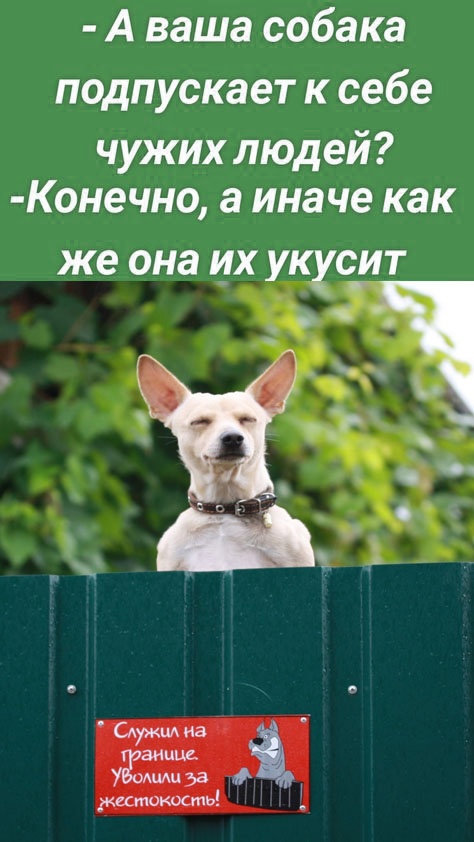 Так себе картинки 09.02.24