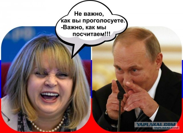Началось голосование!