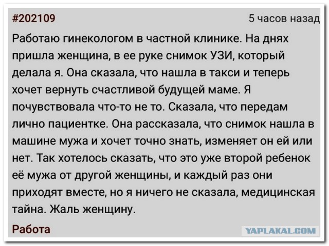 Забавные комментарии из социальных сетей (15.04.24)