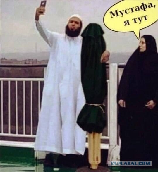 Завалялось тут случайно немного забавных картинок