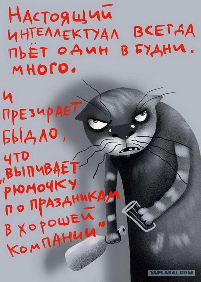 Картинки разные с надписями и без