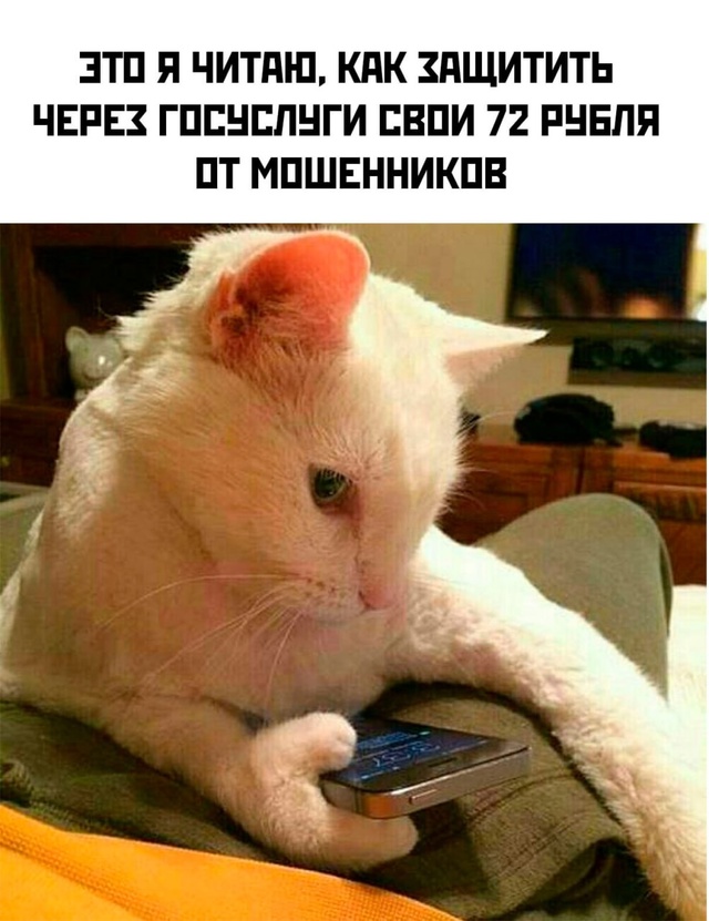 Весёлый полтишок 10.12.24