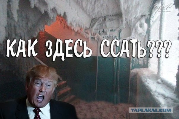 Путин и Трамп подставили Гордона