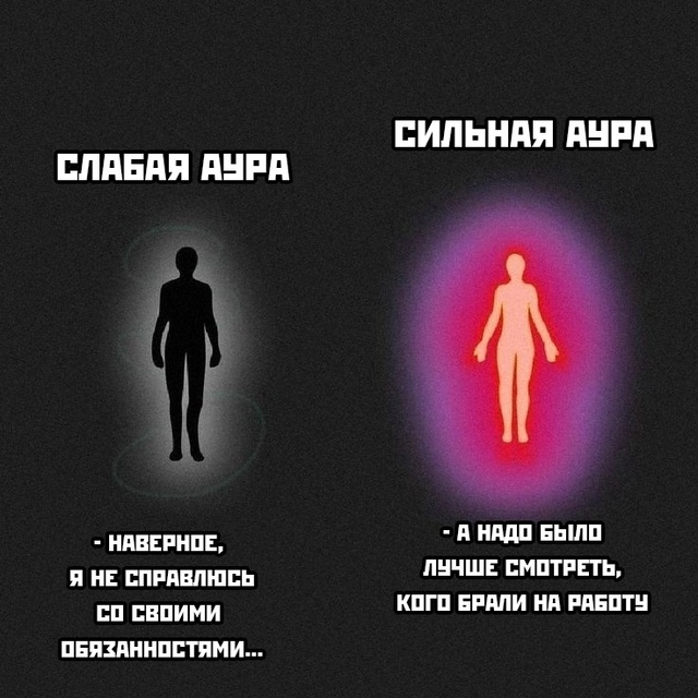 Весёлый полтишок 08.01.25