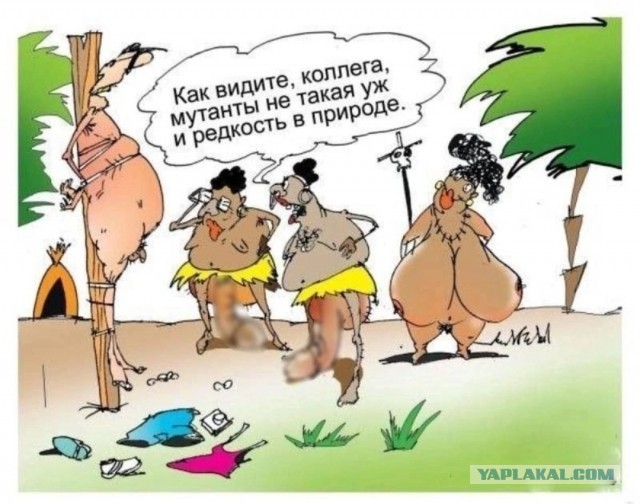 Так себе картинки 03.03.25