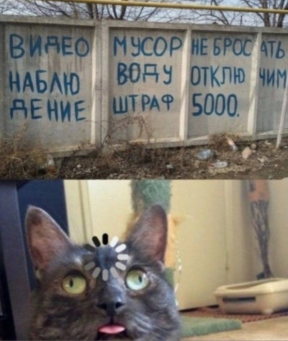Завалялось тут случайно немного забавных картинок