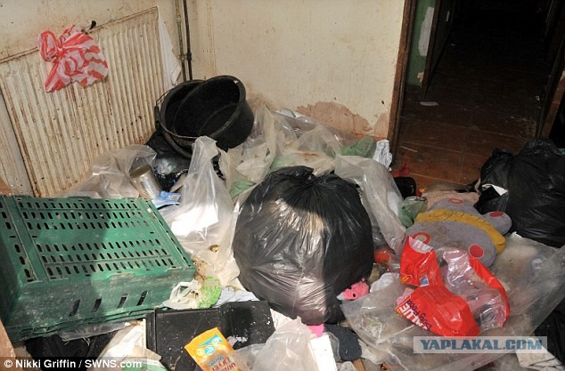 Сдали дом на свою голову