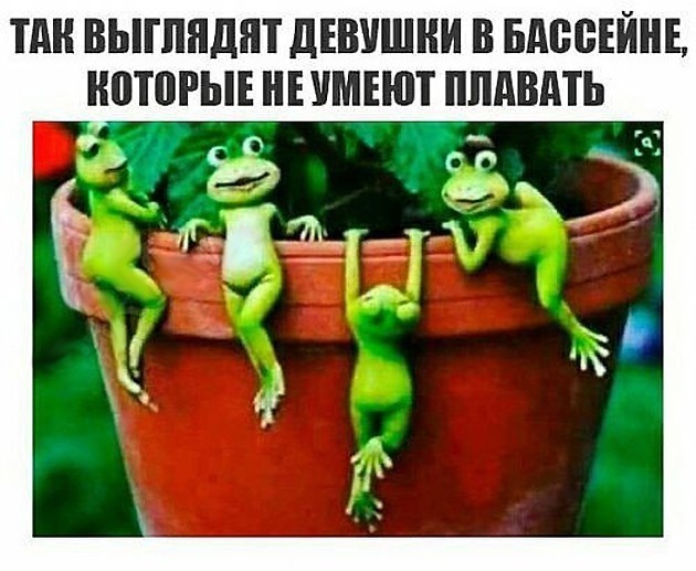 Кто имеет опыт покупки товаров на Wildberries?