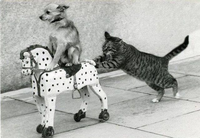 Учименямразь