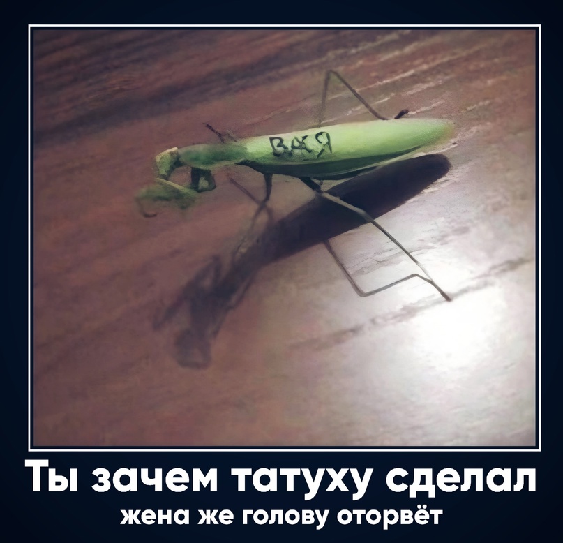 Картинки для деградации 10 (разной степени свежести)