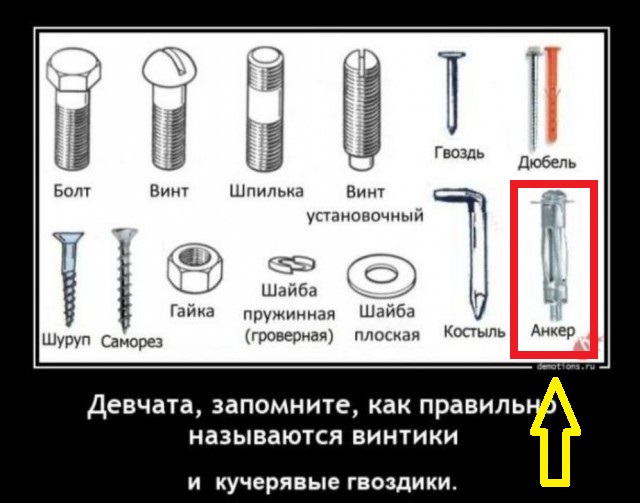 Так себе картинки 09.08.25
