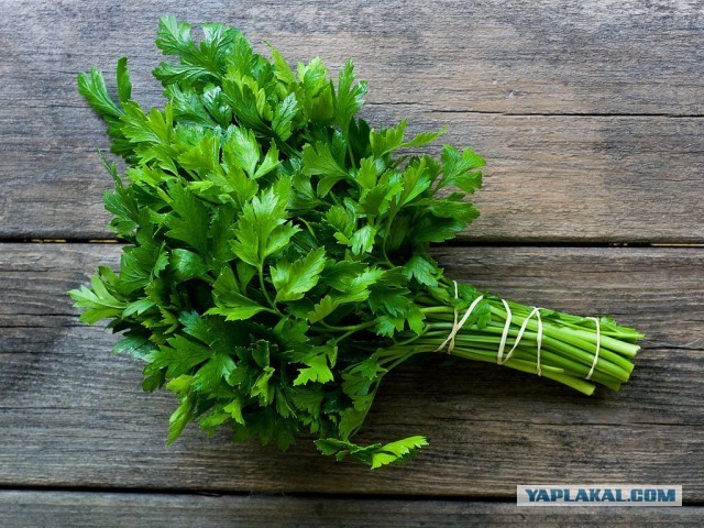 По полям по полям, синий Хетфилд идет в хлам