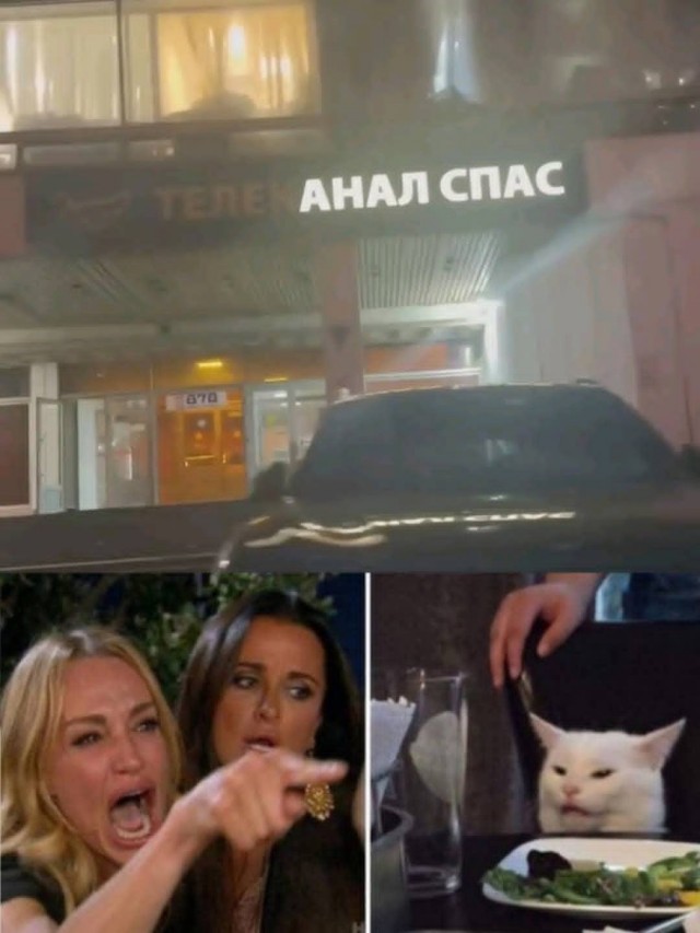 К котовторнику: подборка картинок-баянов с котиками и про котиков. Выпуск 22