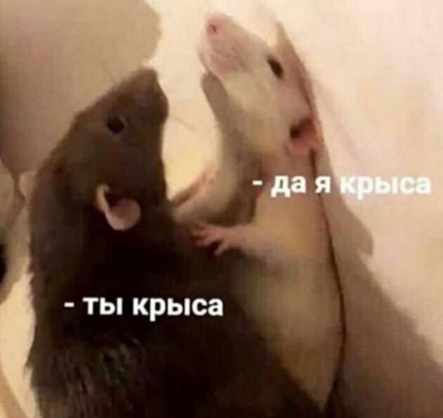 В Нижнем Новгороде чиновникам будут платить премию за доносы на коллег-коррупционеров