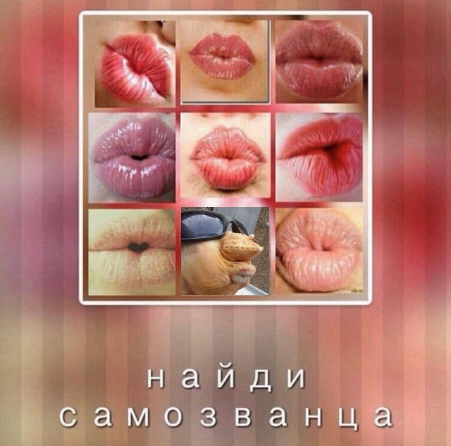 30 фотографий из серии "Что здесь происходит?!"