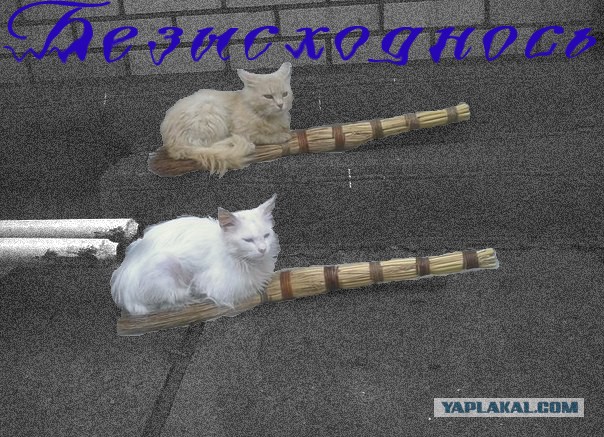 Комбо