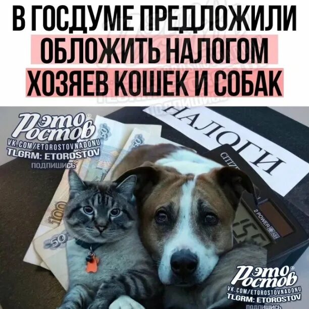 Дождались родимые