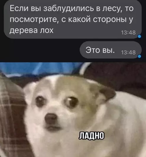 Картиночки, баянчики 02 апреля
