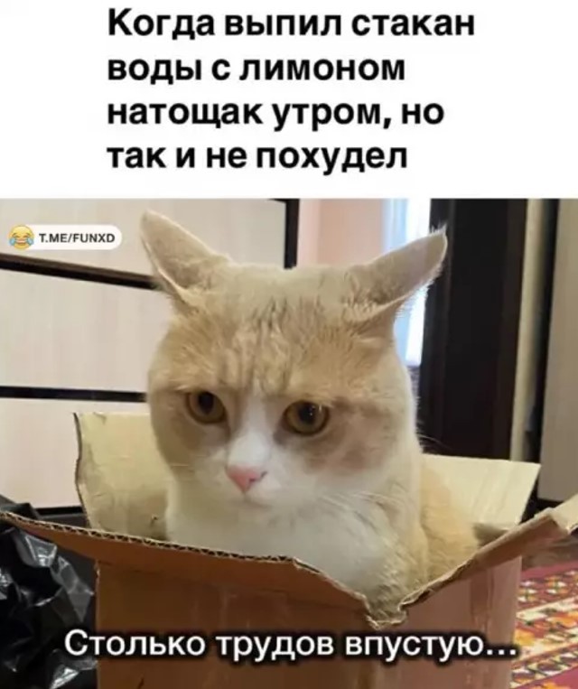 Картиночки, баянчики 21 апреля