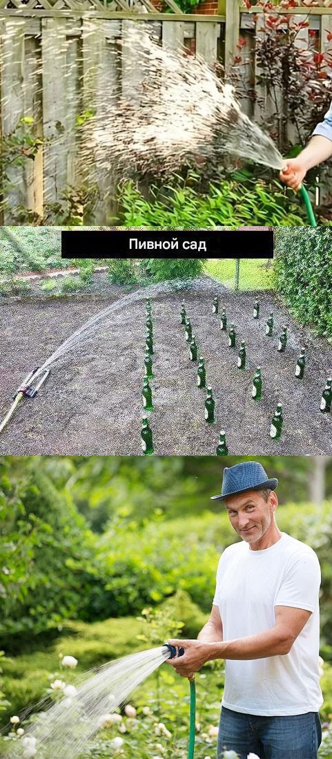 Весна в мемах