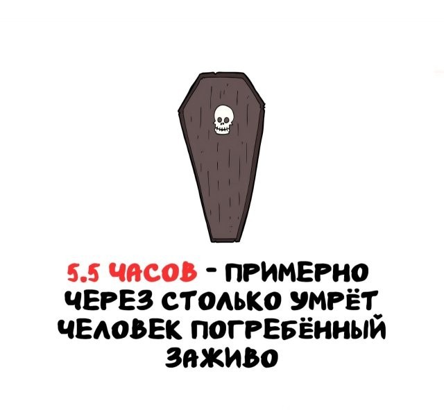 Интересные и короткие факты, на все случаи жизни