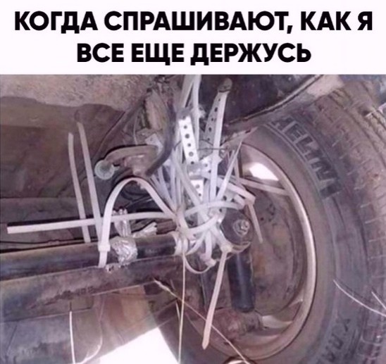 Картинки для деградации 261 (разной степени свежести)