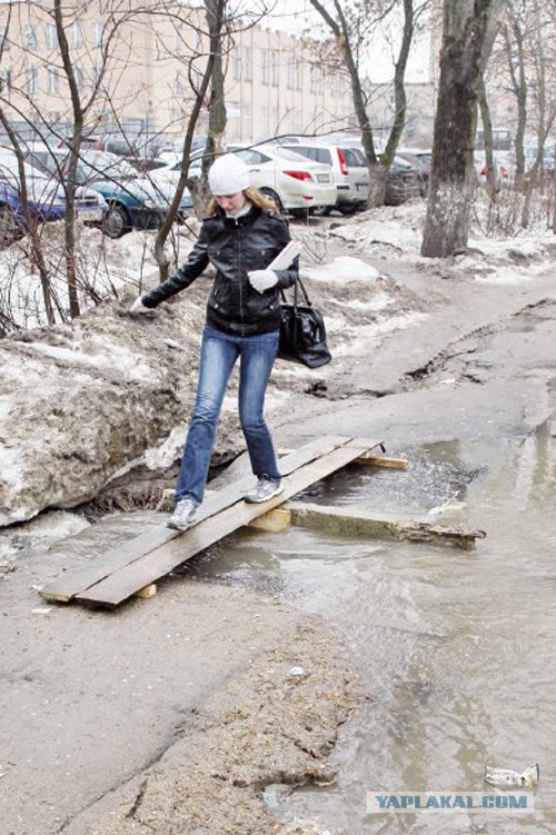 Самые удивительные мосты мира.