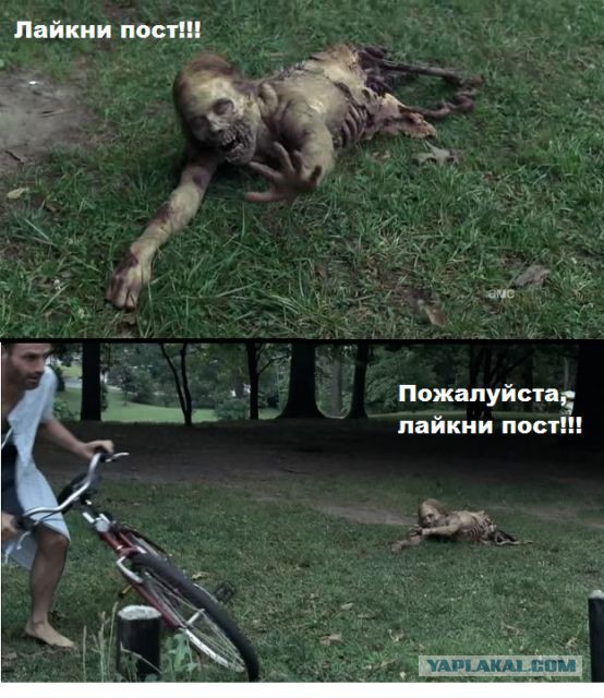 6 Заповедей UQодрочера