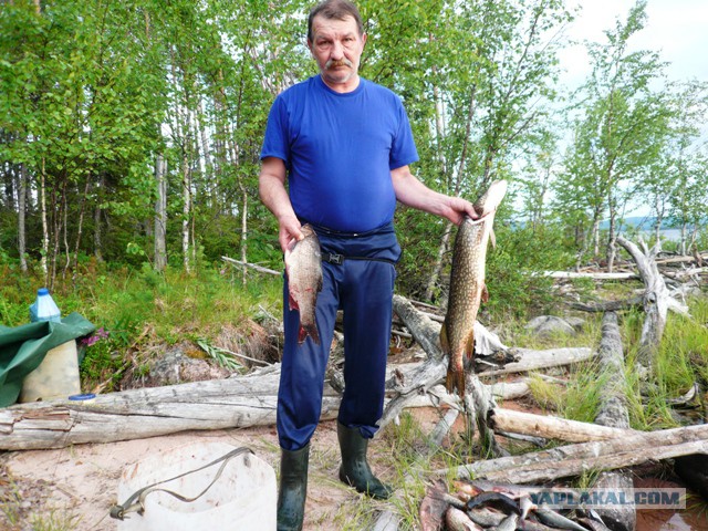 Две недели на Иовском водохранилище. Соколозеро.