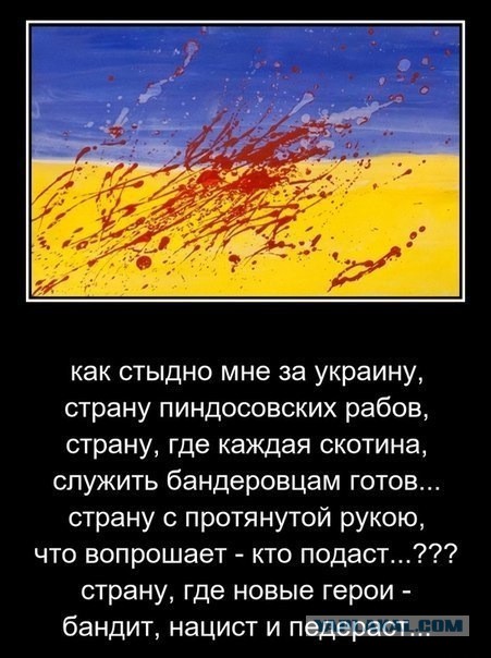 не знала, что так буду ненавидеть сине-желтый флаг