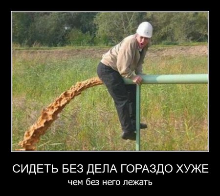 Смешные картинки из соц. сетей.