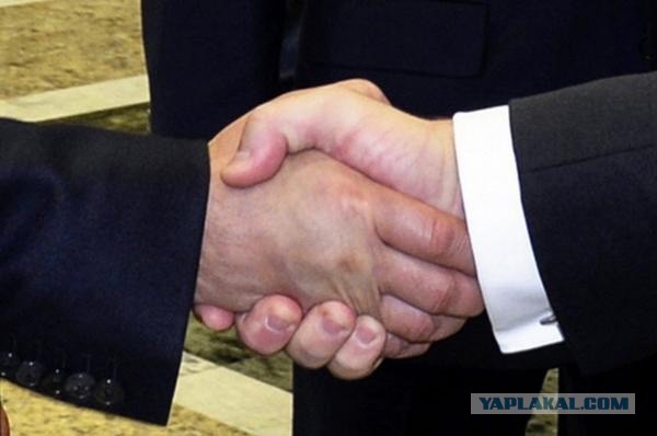 Кто кого боится видно сразу