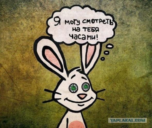 Картинки, которые перевернут мир с ног на голову