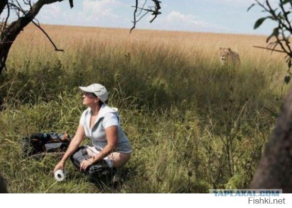 Снова картинки (что-то взгрустнулось)